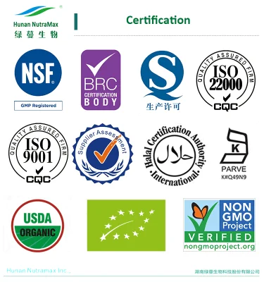 Factory Supply 10% Notoginsenosides Panax Notoginseng Root Extract