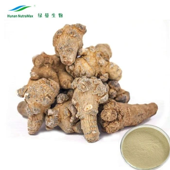 Factory Supply 10% Notoginsenosides Panax Notoginseng Root Extract
