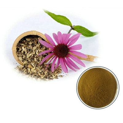 4% Cichoric Acid by HPLC Water Fully Soluble Echinacea Extract Without Any Residue