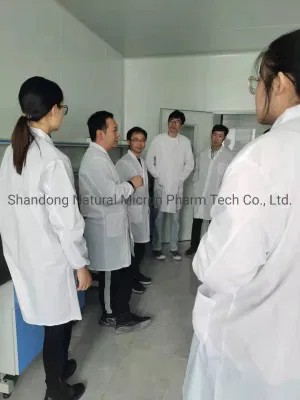 Plant Echinacea Purpurea Extract Powder Cichoric Acid 2% 4%
