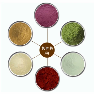 Natural Raw Material Pollen Typhae Extract