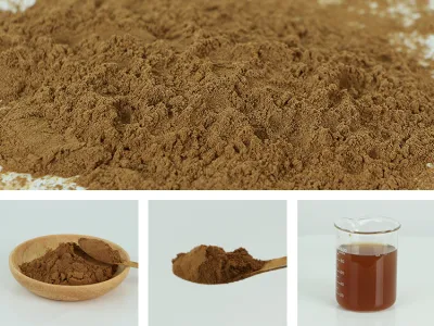 100% New High Quality Cistanche Extract Powder/ Cistanche Tubulosa Deserticola Extract Powder Factory Wholesale