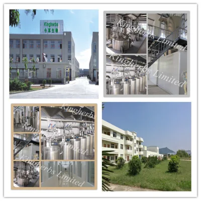 Forsythin Extract 100% Natural Weeping Forsythia Extract