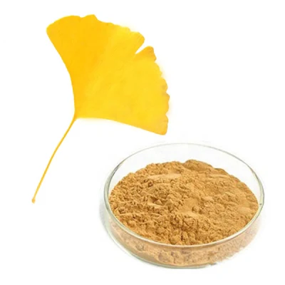 Natural Plant Extract Ginkgo Biloba Extract Powder Ginkgo Biloba Extract