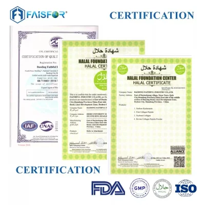 High Quality Astragaloside IV Plant Extract Astragalus Root Extract Powder