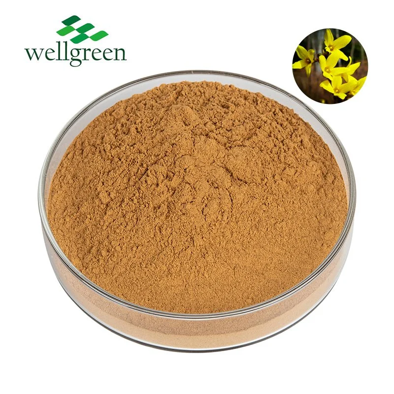 Antioxidant and Anti-Inflammatory Properties Derived Suspensa Leaf Coleus Forsythiae Forsythin Fructus Powder Forsythia Extract