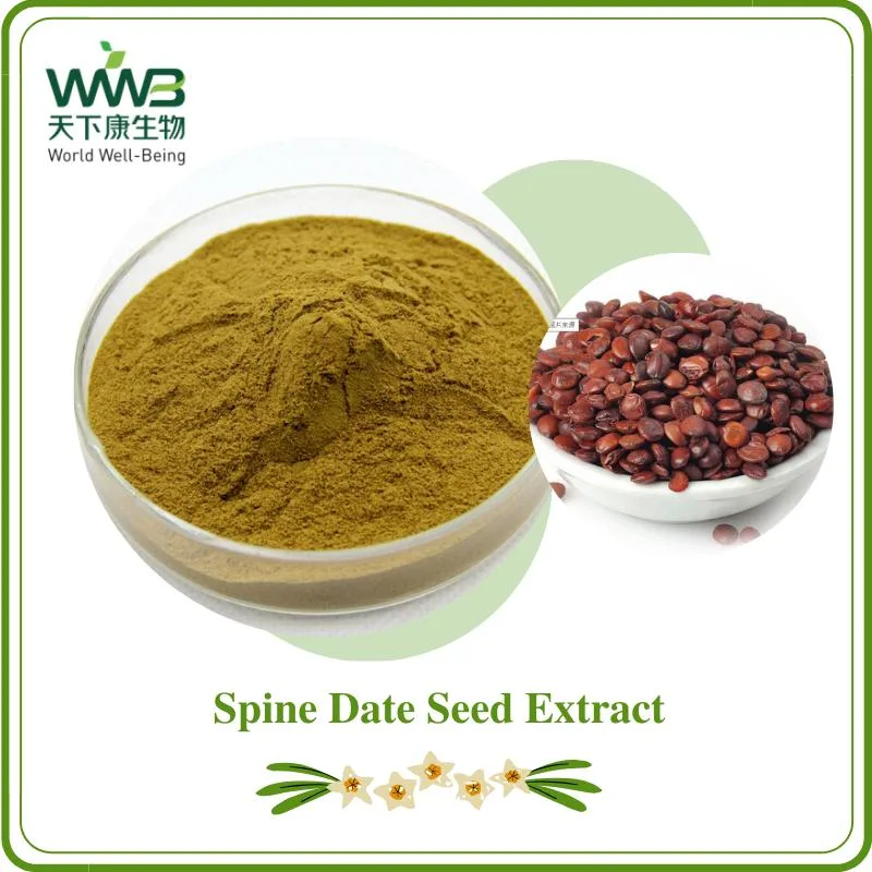 World Well-Being Spine Date Seed Extract, Semen Ziziphi Spinosae, Jujuboside 2%