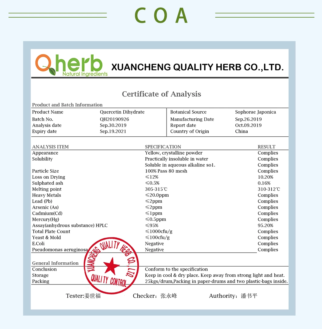 Herbal Extract 95% HPLC CAS 117-39-5 Quercetin Dihydrate