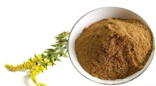 E. K Herb Factory Health Products Anti-Bacterial Plant Extract Goldenrod Extract Powder 10: 1 Goldenrod Extract