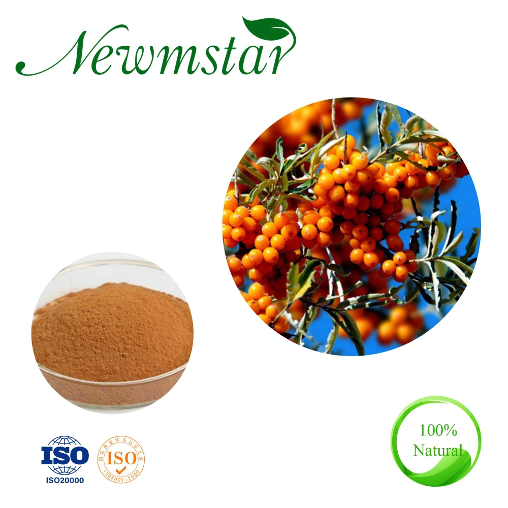 Hippophae Fhamnoides L Sea Buckthorn Extract 4: 1; 10: 1; 20: 1