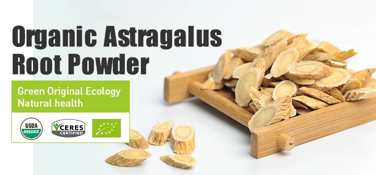 Factory Supply Astragalus Extract Polysaccharides Astragaloside Astragalus Root Extract