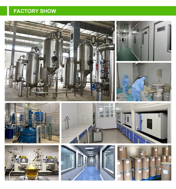 Comext Free Sample Factory Direct Flax Seed Extract 20% 40% Secoisolariciresinol Diglucoside Powder