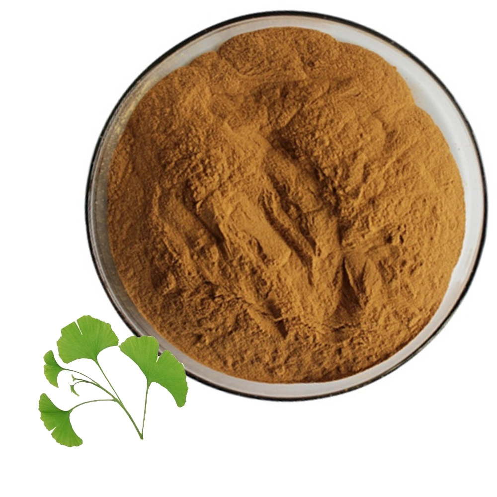 Natural Ginkgo Biloba Leaf Extract Powder