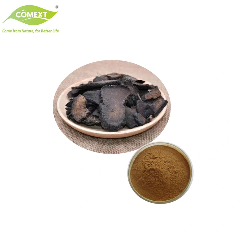 Free Sample Plant Extract Verbascoside Echinacoside Cistanche Tubulosa Extract