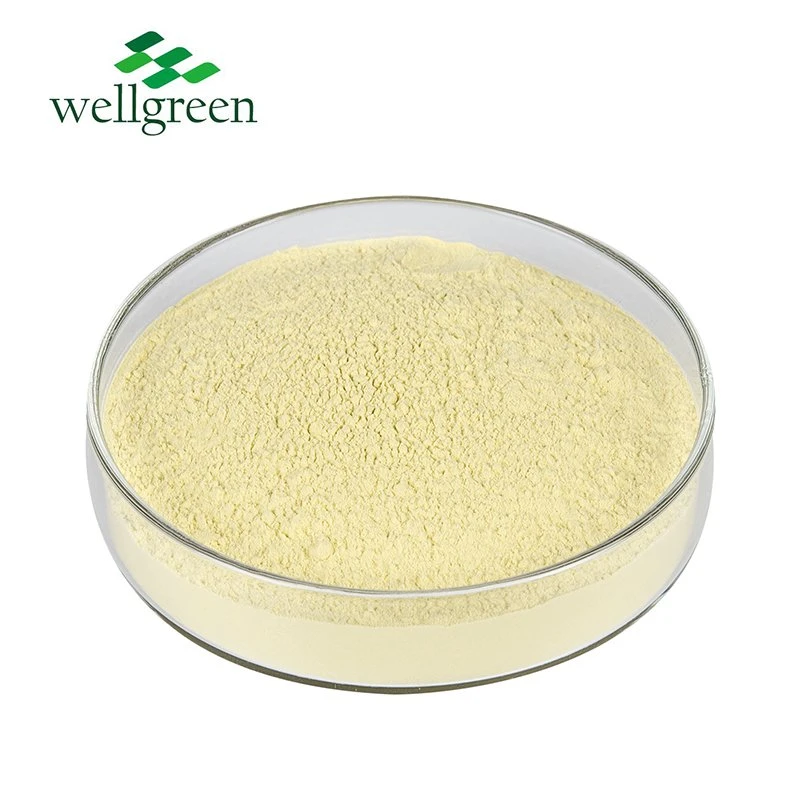 Wellgreen CAS 520-18-3 Kaempferia Galanga Nanoparticle Pure Extract 98% Kaempferol Powder