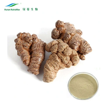 Factory Supply 10% Notoginsenosides Panax Notoginseng Root Extract