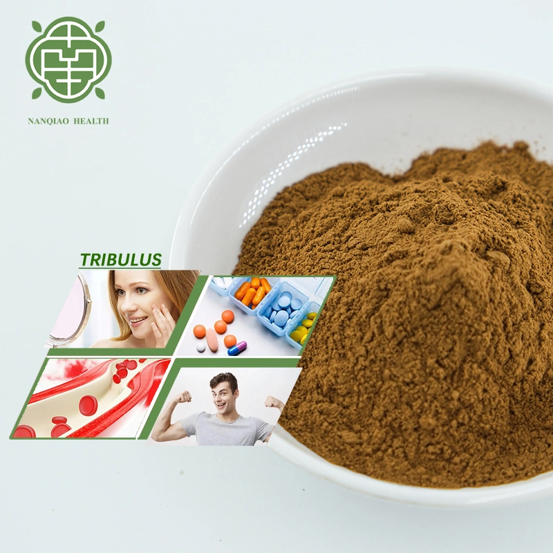 Nanqiao Tribulus Terrestris Extract 10: 1 Powder Tribulus Terre Fruit Extract 98% Tribulus Terrestris Saponins CAS 22153-44-2 Aphrodisiac Tribuloside