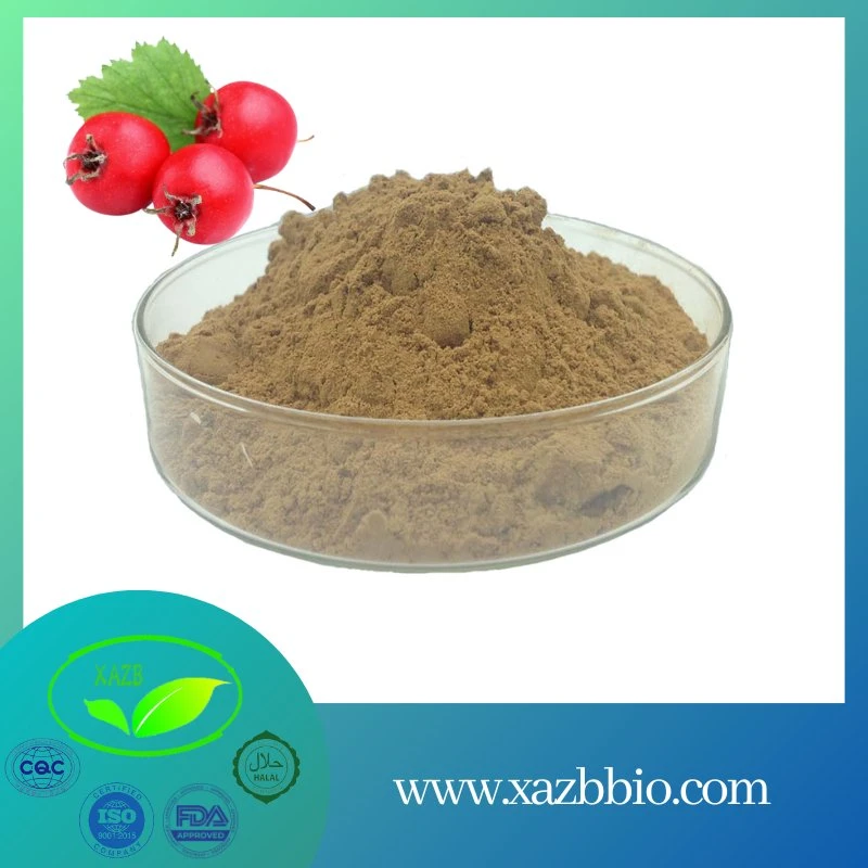 Factory Supply Hawthorn Extract Vitexin 4% CAS 3681-93-4