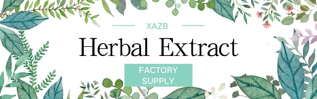 Factory Supply Hawthorn Extract Vitexin 4% CAS 3681-93-4