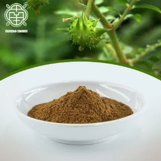 Nanqiao Tribulus Terrestris Extract 10: 1 Powder Tribulus Terre Fruit Extract 98% Tribulus Terrestris Saponins CAS 22153-44-2 Aphrodisiac Tribuloside