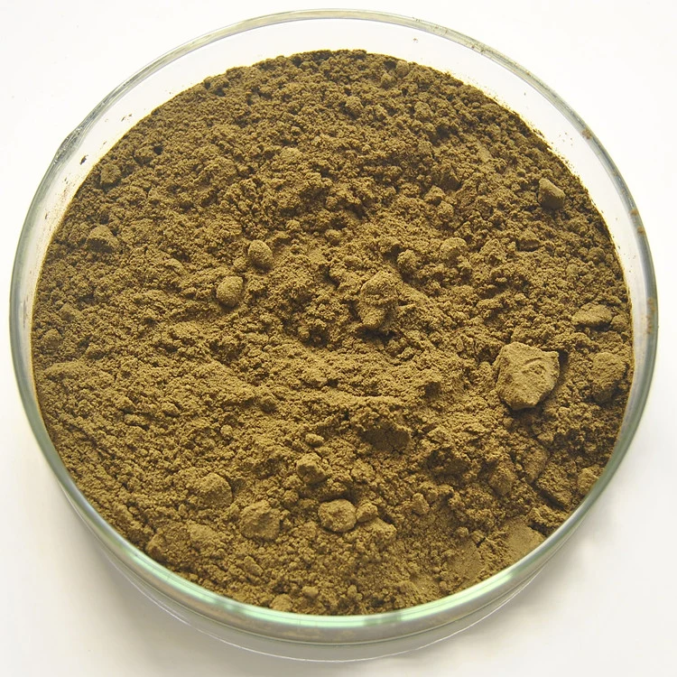 Echinacoside Powder Bulk Cistanche Tubulosa Extract Echinacoside 20%