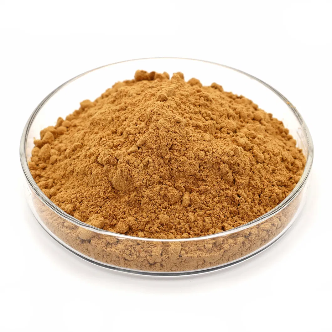 Forsythin Natural Forsythia Powder Forsythia Suspensa Extract