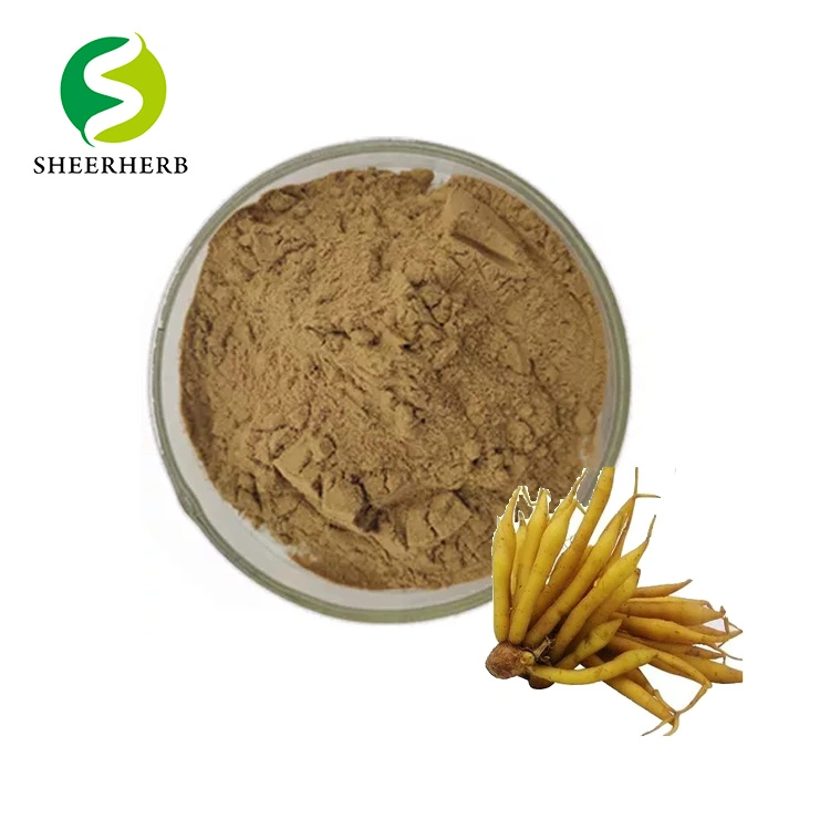 100% Organic Food Grade Fingerroot Extract 4: 1 10: 1 Boesenbergia Rotunda Extract Powder