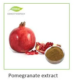 Comext Bulk Officinale Herba 5%-50% Polysaccharides Enhanced Energy Level Dendrobium Extract