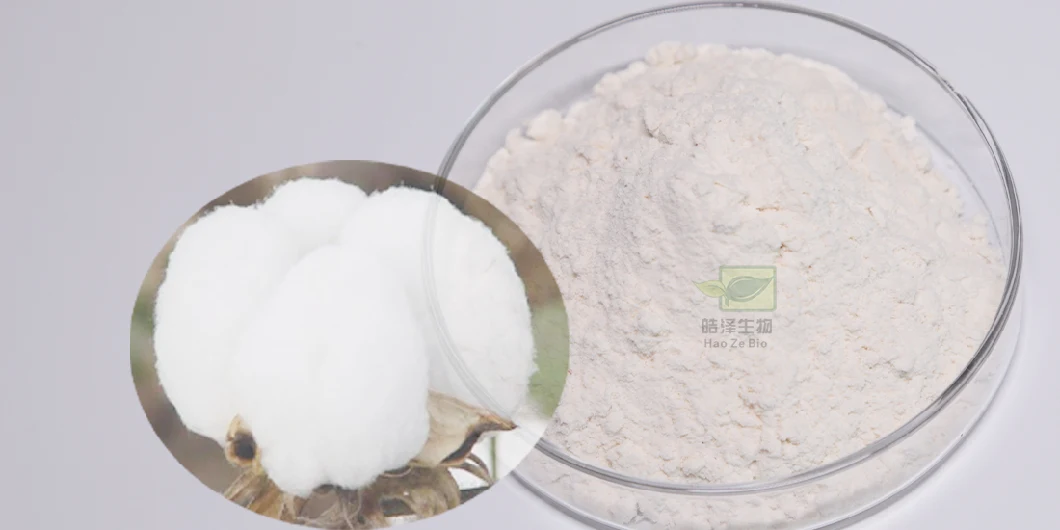 Bulk Acetic Acid Gossypol Cotton Seed Extract Cetate Gossypol Powder