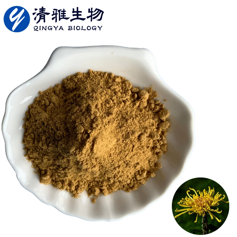 Chrysanthemum Flower Extract 10: 1 Natural Plant Powder