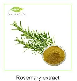 Comext Bulk Officinale Herba 5%-50% Polysaccharides Enhanced Energy Level Dendrobium Extract