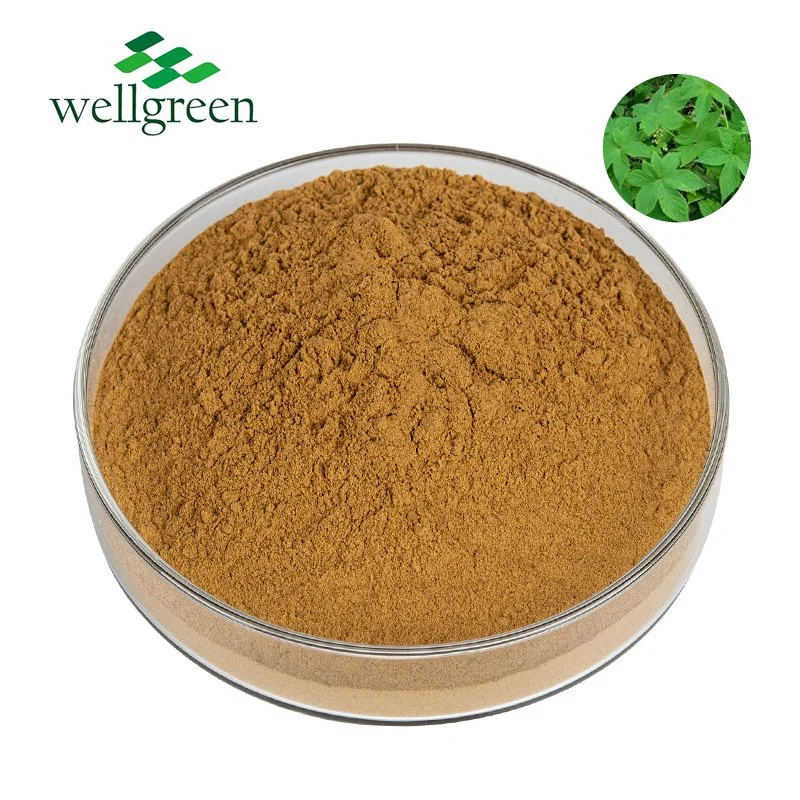 Supply Extract Devil&prime;s Claw Extract Harpagoside 5% Harpagophytum Radix Harpagoside 10%