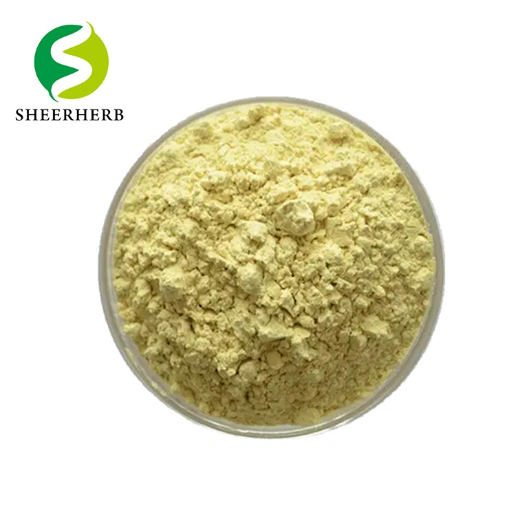 Best Price Kaempferia Galanga Parviflora Nanoparticle Bulk Kaempferol