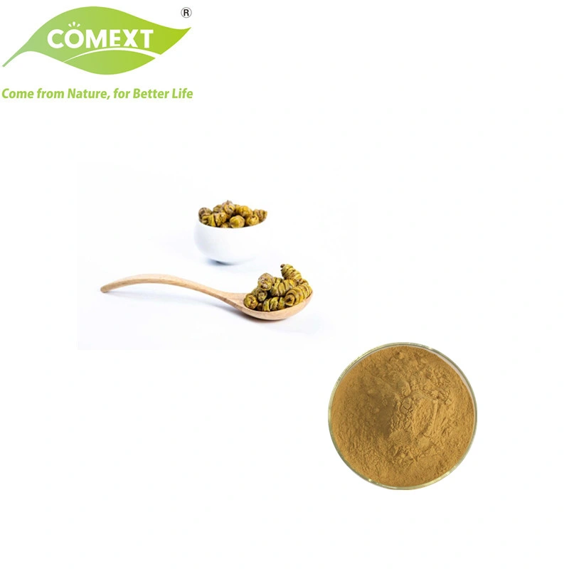 Comext Factory Halal Kosher Natural Plant Dendrobium Officinale Dendrobium Candidum Extract