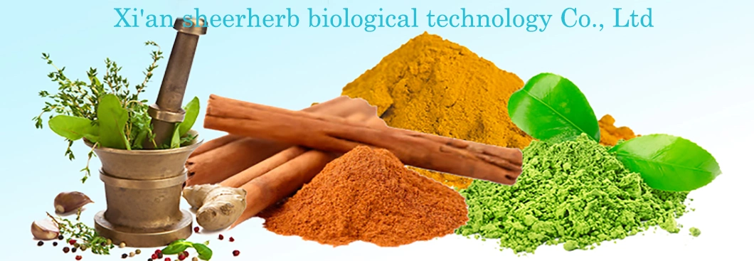 Wholesale Bulk Ginkgo Biloba Egb 761 Dhc Ginkgo Biloba Extract Ginkgo Biloba Extract