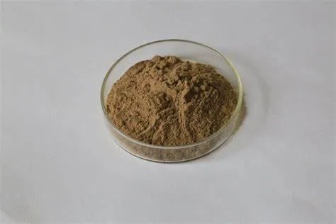 Health Products Anti-Bacterial Plant Extract Goldenrod Extract Powder 10: 1 Goldenrod Extract