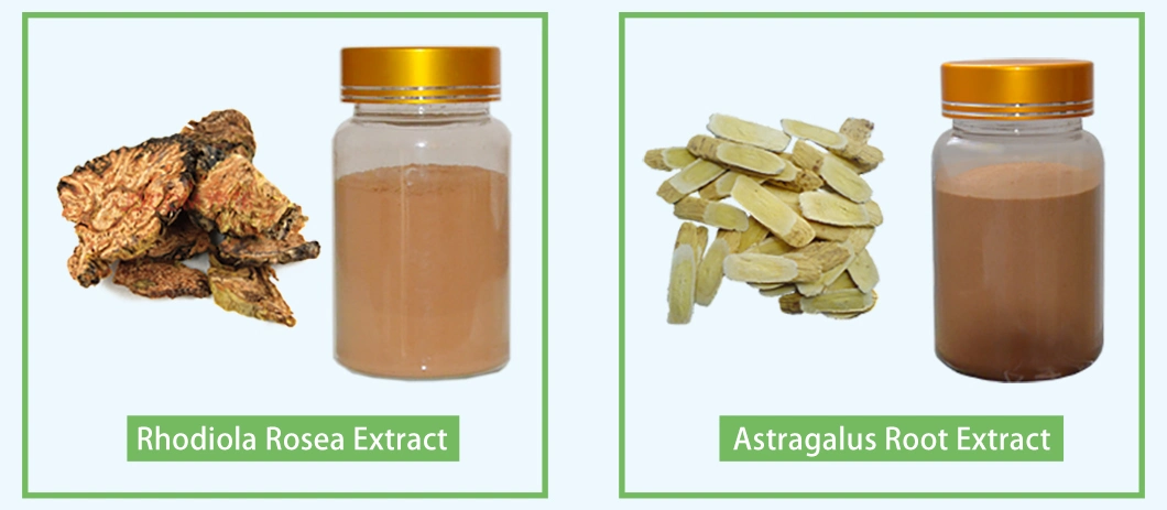 Panax Notoginseng Raw Powder 100 Mesh Total Saponins 5% HPLC