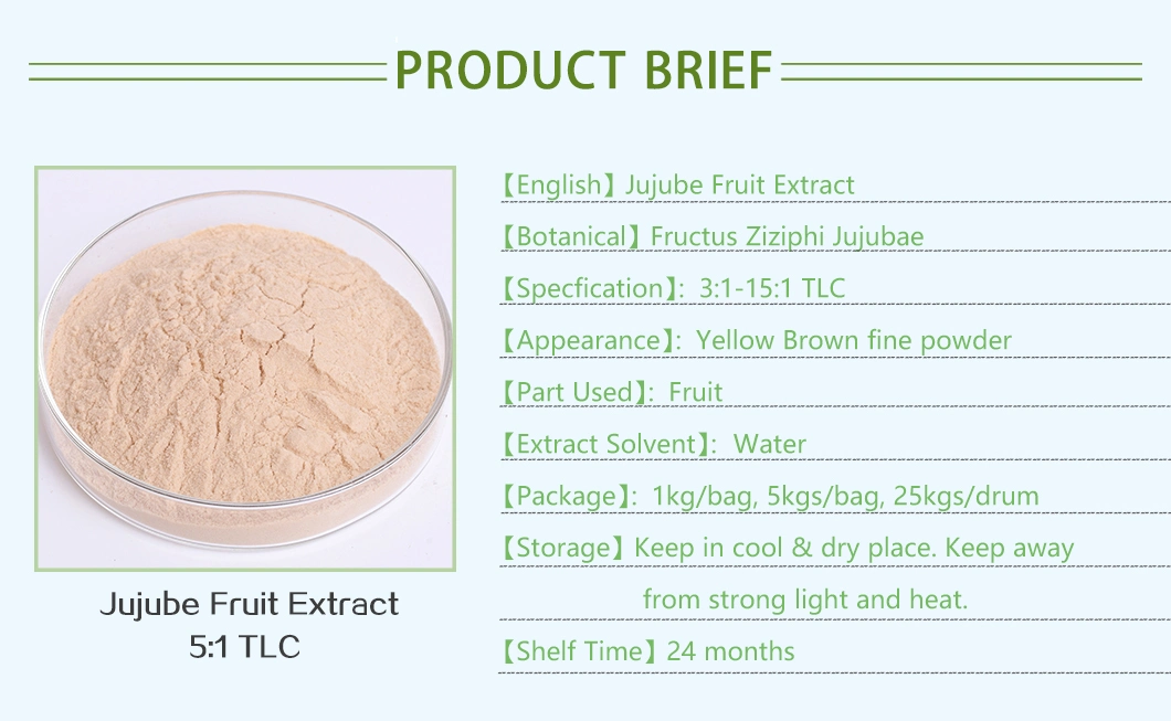 Ziziphus Jujuba Extract Jujuboside a &amp; B HPLC 0.2% HPLC