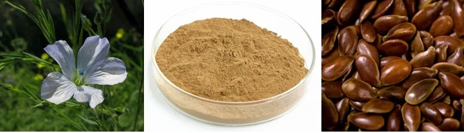 Factory Supply Flax Seed Extract with Secoisolariciresinol Diglucoside (SDG) 10%, 20%, 40%, 70%, 95%, 98%