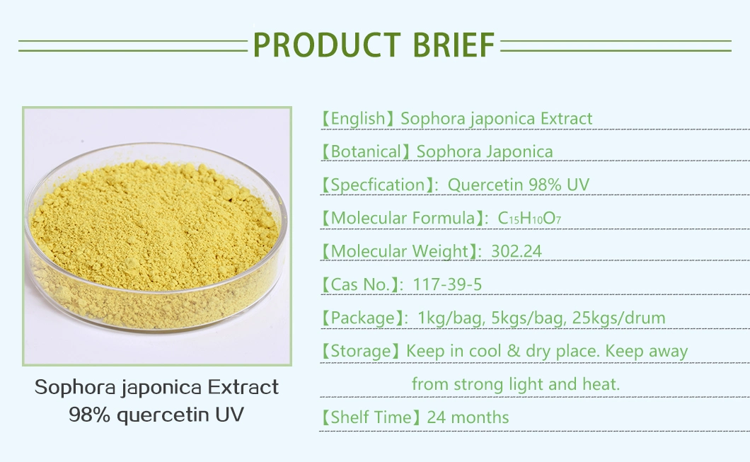 Best Price Sophora Japonica Flower Bud Extract 98% Quercetin Anhydrous UV Herb Plant