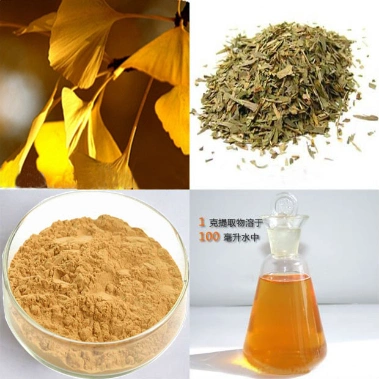 Factory Supply Ginkgo Extract Ginkgo Biloba Extract Powder for Lower Blood Pressure