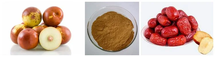 Xi`an SOST Supply Ziziphus Jujubosides Jujube Seed Extract Powder