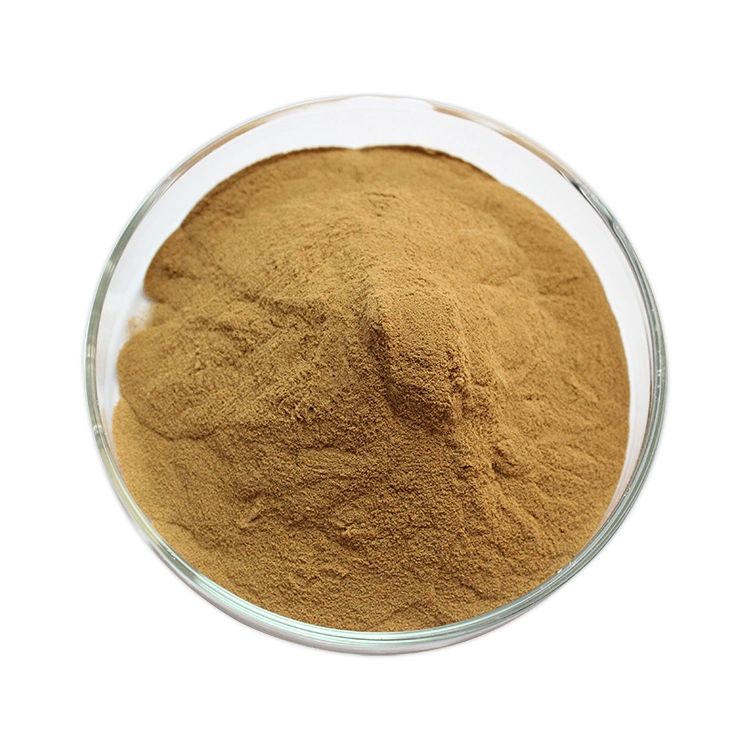 Astragalus Root Extract Powder 83207-58-3 Astragaloside a 5% to 98%