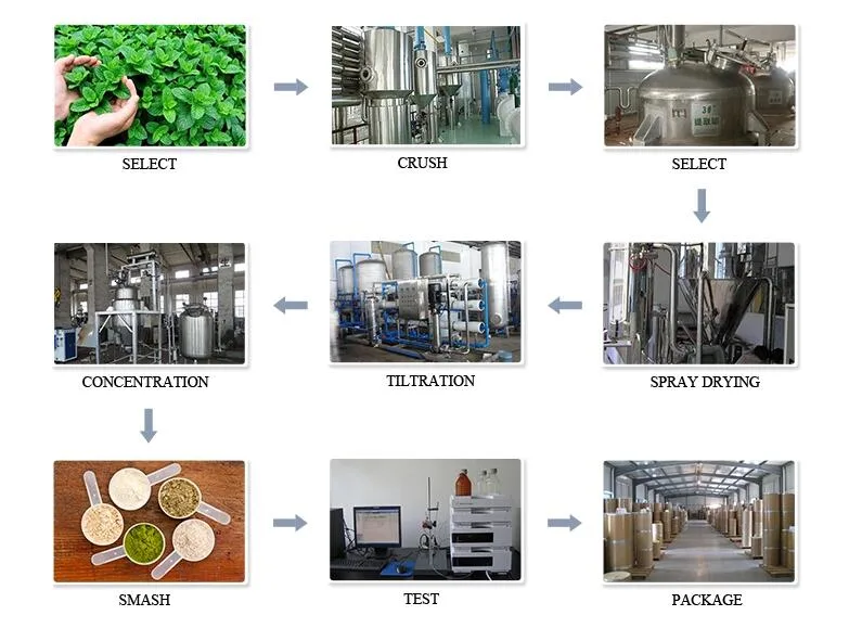 Engelhardtia Roxburghiana Extract 80% Astilbin