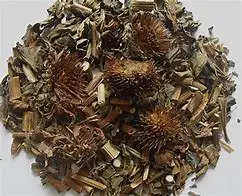 100% Natural Echinacoside Echinacea Purpurea Extract