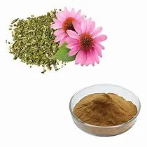 100% Natural Echinacoside Echinacea Purpurea Extract