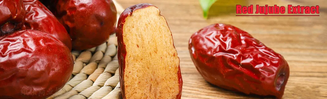 Red Jujube Extract/ Ziziphus Jujube Extract/ Red Dates Extract Jujubosides 2% CAS: 55466-05-2