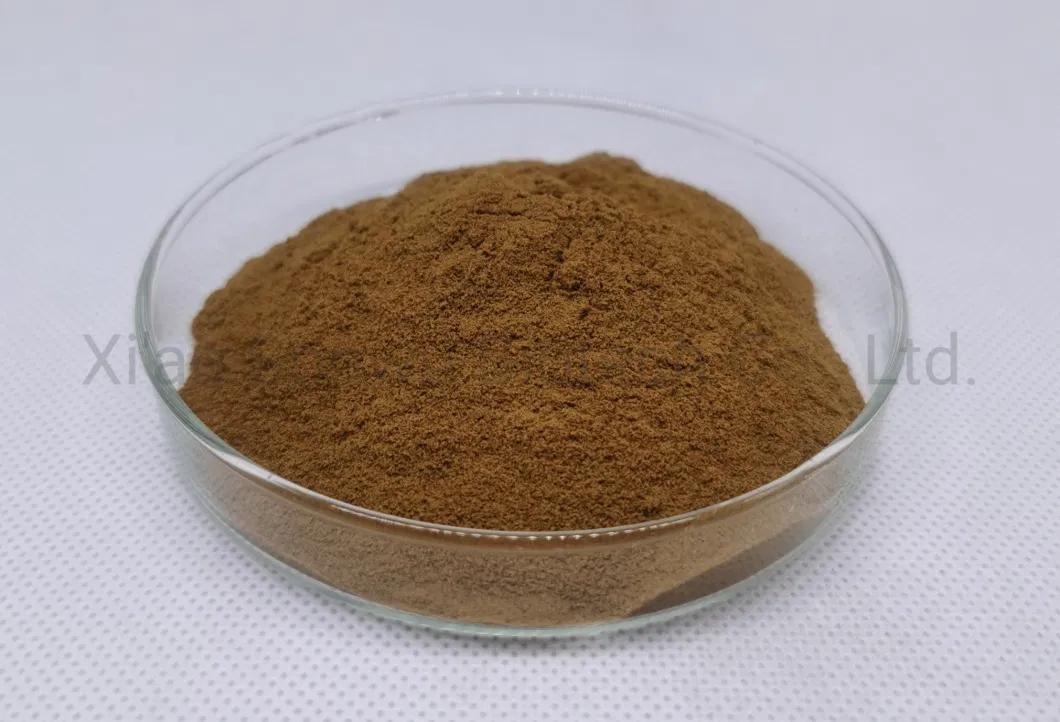 Sonwu Supply Astragalus Extract Astragaloside IV