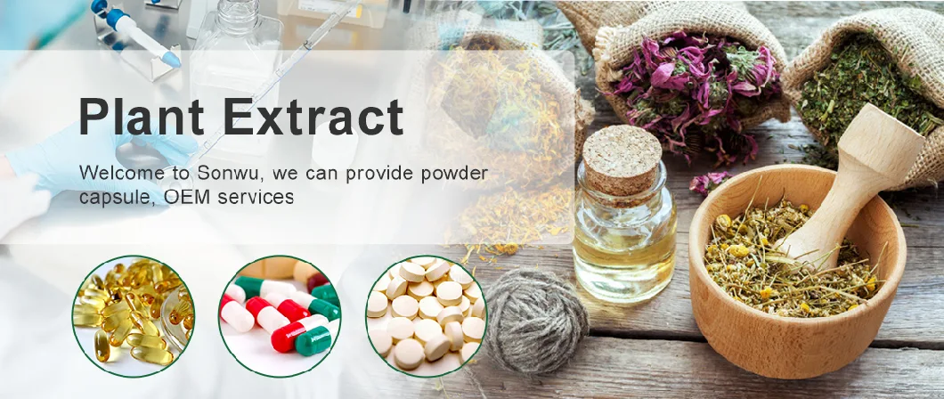 Sonwu Supply Plant Extract 80% CAS 29838-67-3 Astilbin Powder