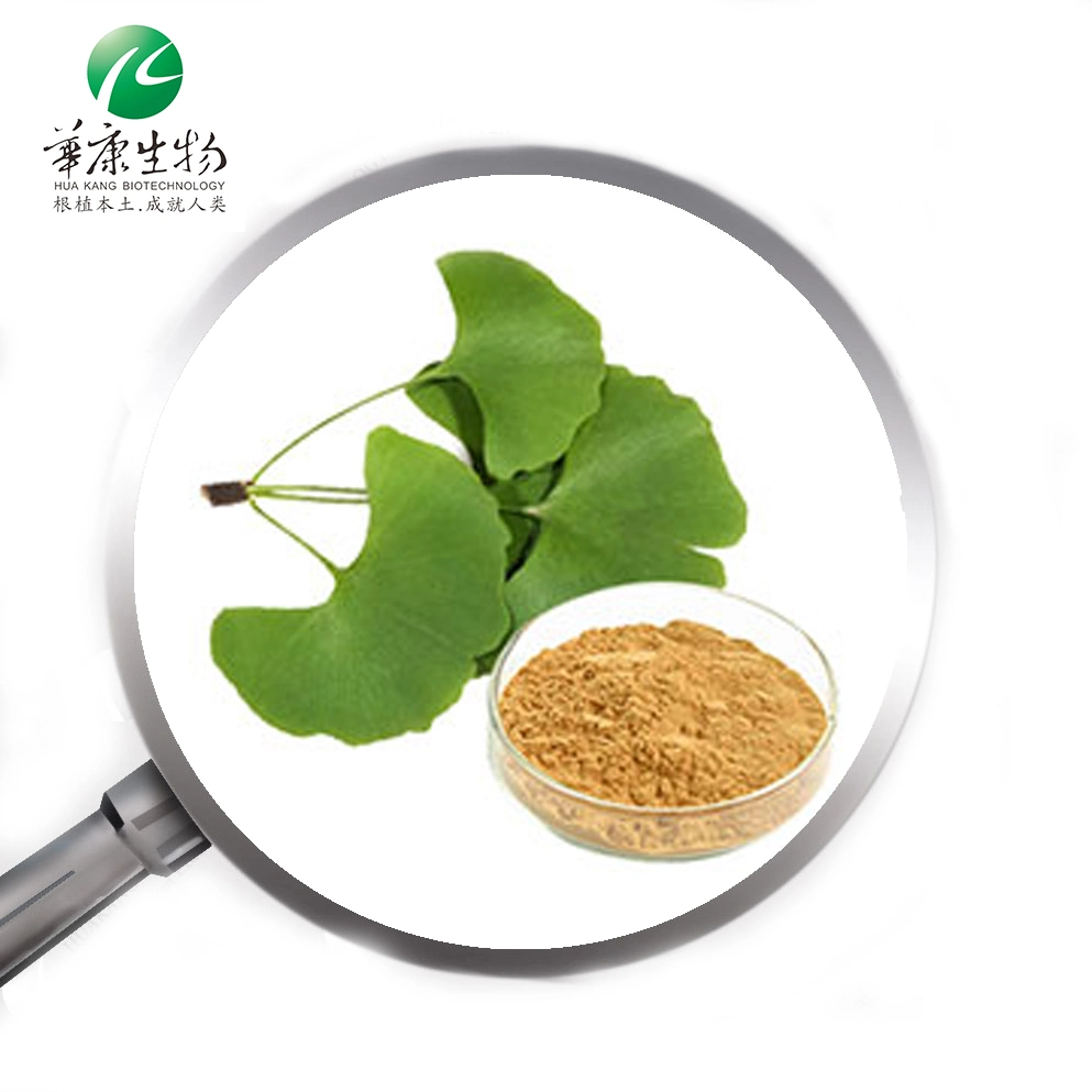 ISO Hunan Huakang Formulation and Ginkgo Biloba Extract